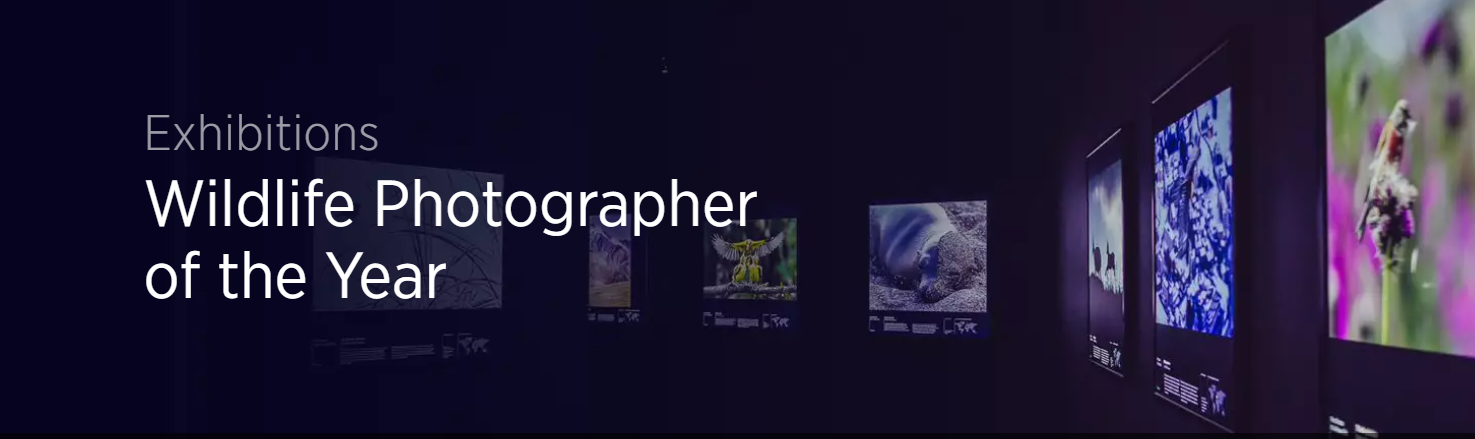 Wildlife Photographer of the Year | Auckland War Memorial Museum