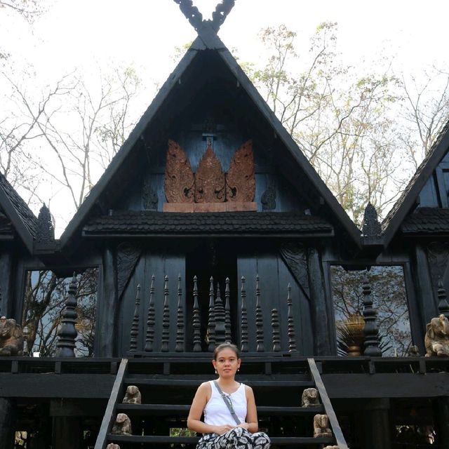 Black is beautiful in Baan Dam Museum