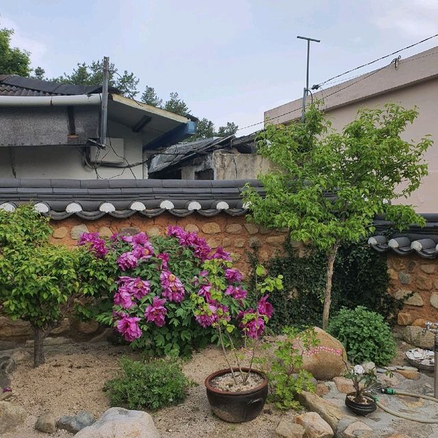 경주 황리단길 한옥 카페