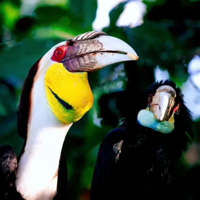 Отели с услугой Интернет в г. Джошуа Три