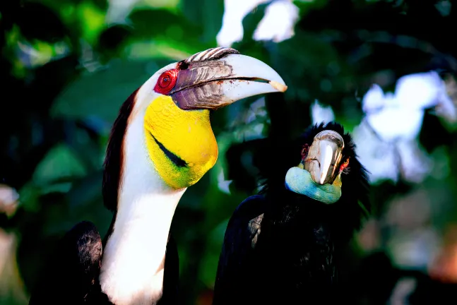 Отели рядом с достопримечательностью «Monterey Park Historical Museum»