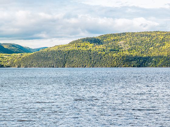 Kushiro Shitsugen National Park