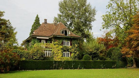 Inseli Kehr