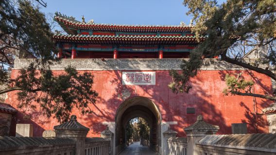 Confucius Forest