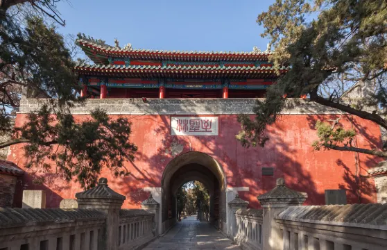 曲阜三孔景區國學講師高端拼團講解服務大小同價