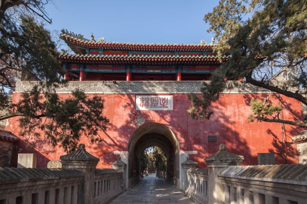 Confucius Forest