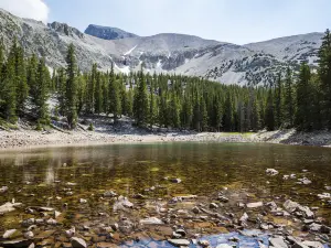 Parc national du Grand Bassin