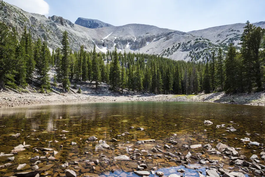 Parc national du Grand Bassin