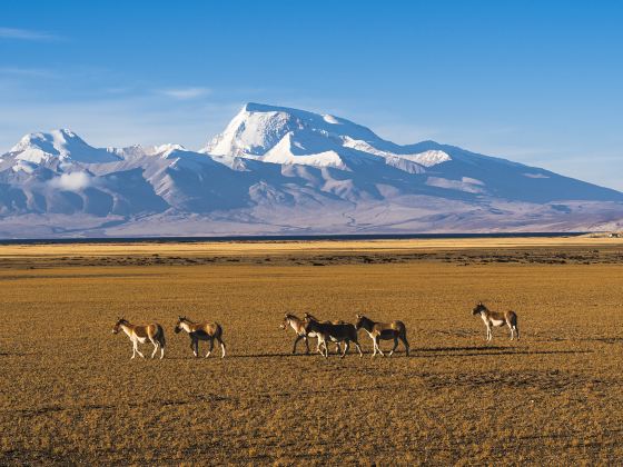 Ali Shenshan Shenghu Tourist Area