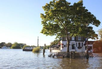 Stein's Richmond User Photo