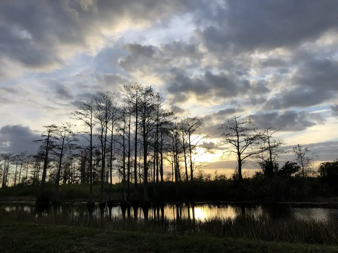 Hotel in zona Huajiang Wild Duck Nature Park