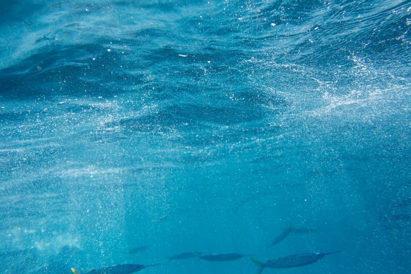 Moalboal Sardines Storm