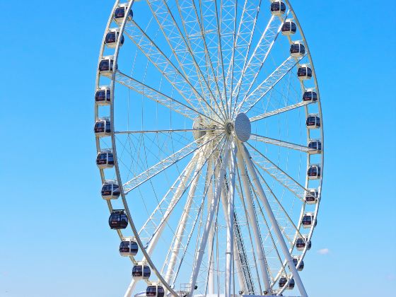 The Seattle Great Wheel