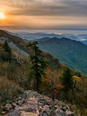 花頸山風景区