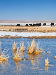 Qinghai Lake Fairy Bay