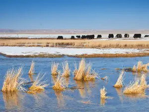 Qinghai Lake Fairy Bay