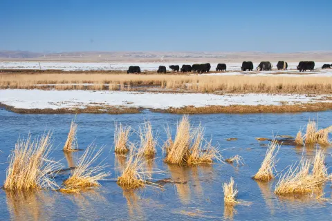Qinghai Lake Fairy Bay