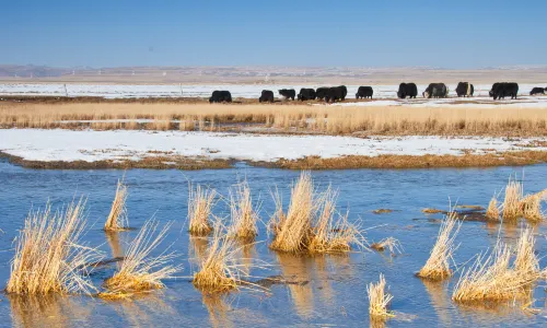 Qinghai Lake Fairy Bay