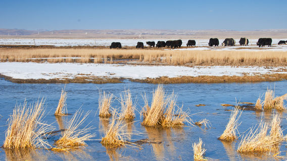 Qinghai Lake Fairy Bay