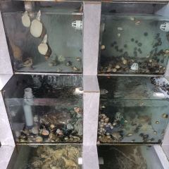 后隆海鲜阁 User Photo