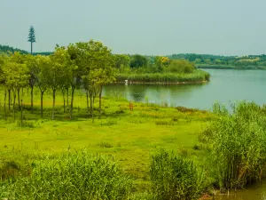 馬踏湖國家濕地公園