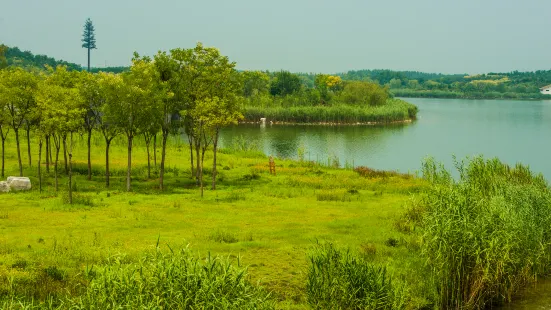 馬踏湖國家濕地公園