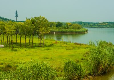 馬踏湖國家濕地公園