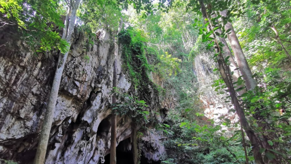 Tham Pha Thai National Park