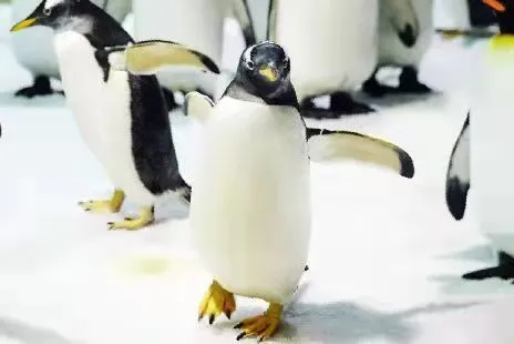 Dalian Sunasia Ocean World