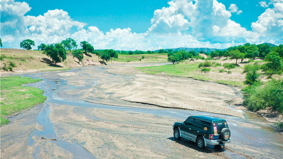 yun man shu lin da cao yuan du jia qu