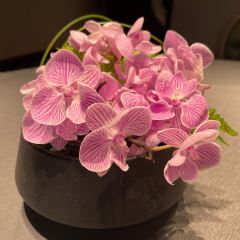 The Grand Boat User Photo