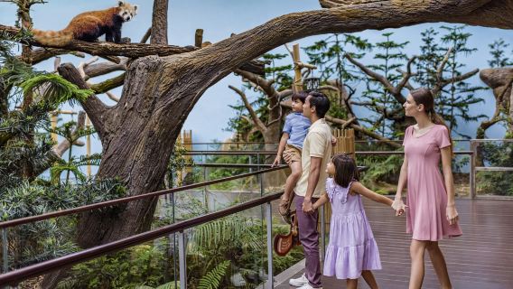 新加坡動物園 + 河川生態園【專車接送 + 不拼車 + 包括門票】