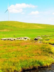 Lantern River Pasture, Ongniud Banner