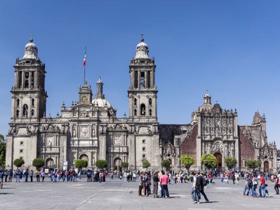 Metropolitan Cathedral (Catedral Metropolitana)