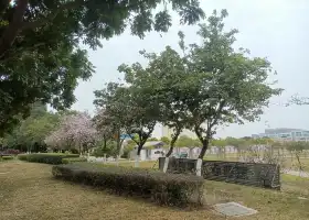 化龍濕地公園