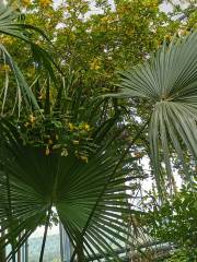 陽市植物園