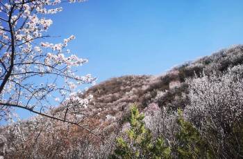 Top 17 Activities in Beijing