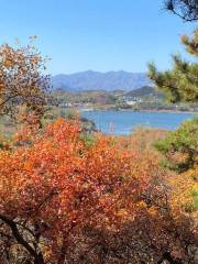 大石山森林公園