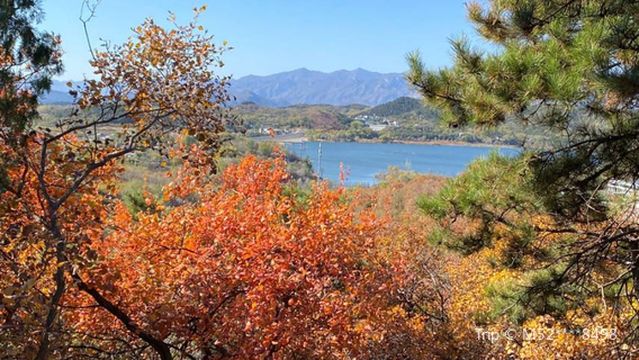 Dashishan Forest Park