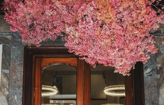 Banc Brasserie & Wine Bar