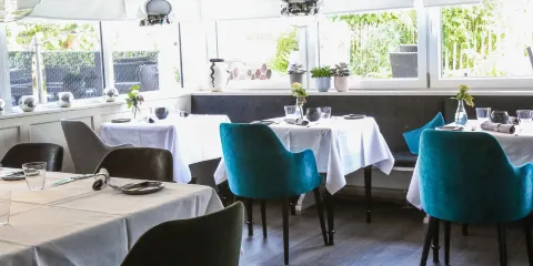 Michael's Leitenberg