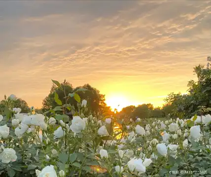 โรงแรมใกล้สวนเมรุ