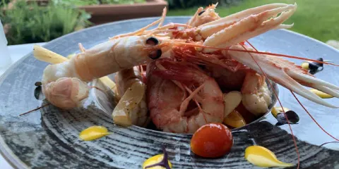 Trefor Cafe Ristorante