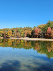 Chenango Valley State Park