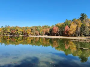 Chenango Valley State Park