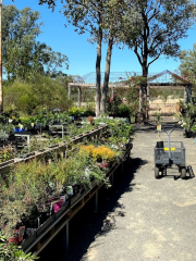 MOORELANDS Bush Nursery