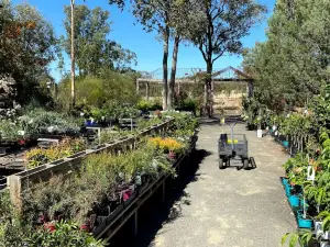 MOORELANDS Bush Nursery