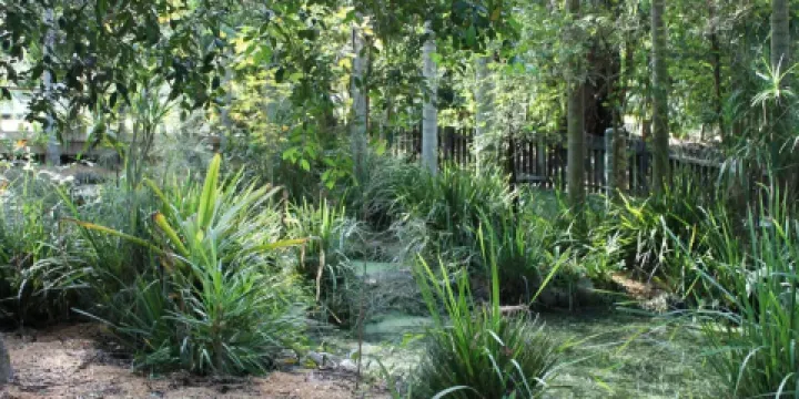 Wigay Aboriginal Cultural Park