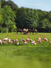 Jardin zoologique de Berlin-Friedrichsfelde