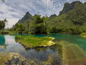 yi tiao hui kai hua de he ( hai cai hua ji di )